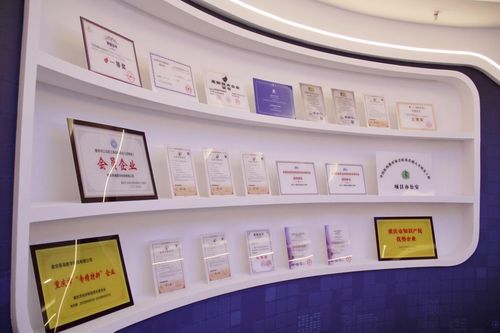重庆首单“专精特新”保险服务落地，为生命健康领域领跑者系上“安全带”