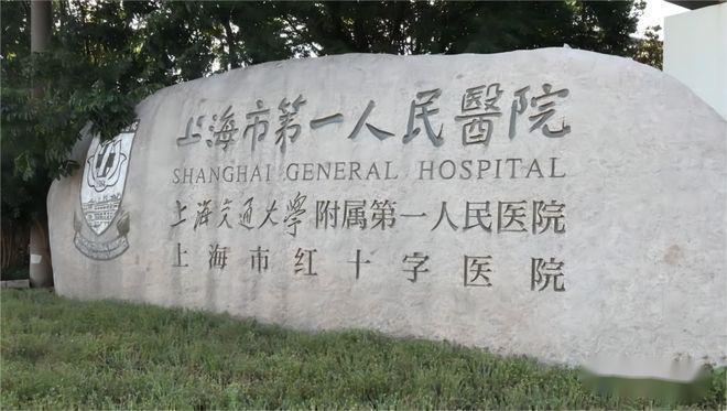 中企誉品银湖湾官方发布 银湖映境誉筑匠心 健康咨询服务亮相